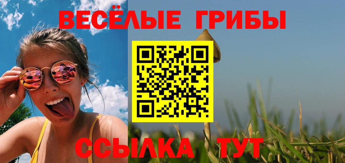 Псилоцибиновые грибы GOLDEN TEACHER Гусиноозёрск