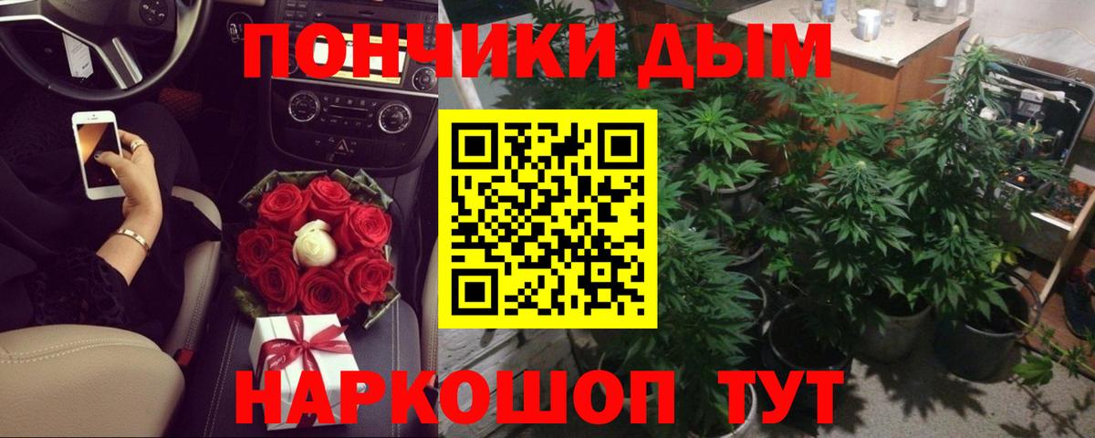 Канабис индика Гусиноозёрск